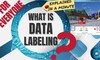 Ghi nhãn dữ liệu (Data Labeling) là gì ? Lợi ích và chiến lược hiệu quả 