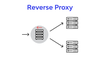 Reverse proxy là gì? Tất tần tật kiến thức liên quan tới Reverse proxy server