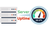 Server Uptime là gì? Cách đo lường và tỷ lệ bao nhiêu là hợp lý?