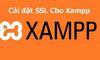 9 Bước cài đặt SSL cho Xampp chi tiết nhất