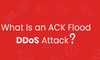 ACK Flood Attack là gì? Điểm khác biệt gì so với các loại tấn công DDoS khác?