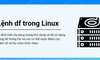 Lệnh df trong Linux và những ví dụ thực tế sử dụng lệnh df