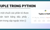 Tuple là gì? Sự khác biệt giữa Tuple và List trong Python