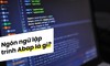 ABAP là gì? Những tính năng hưu ích của ABAP