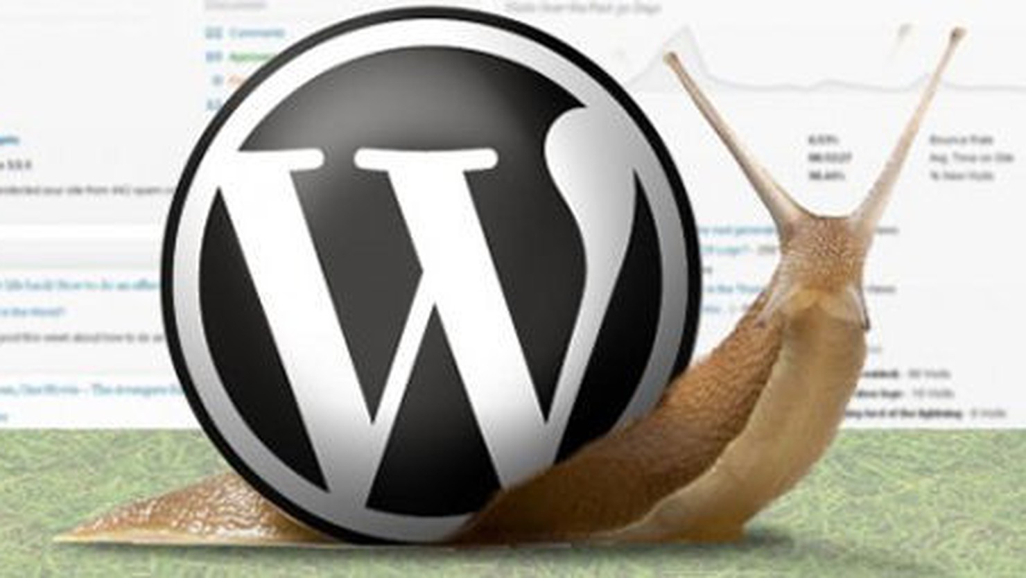 [Infographic] 9 Lý do site WordPress chạy chậm và cách xử lý