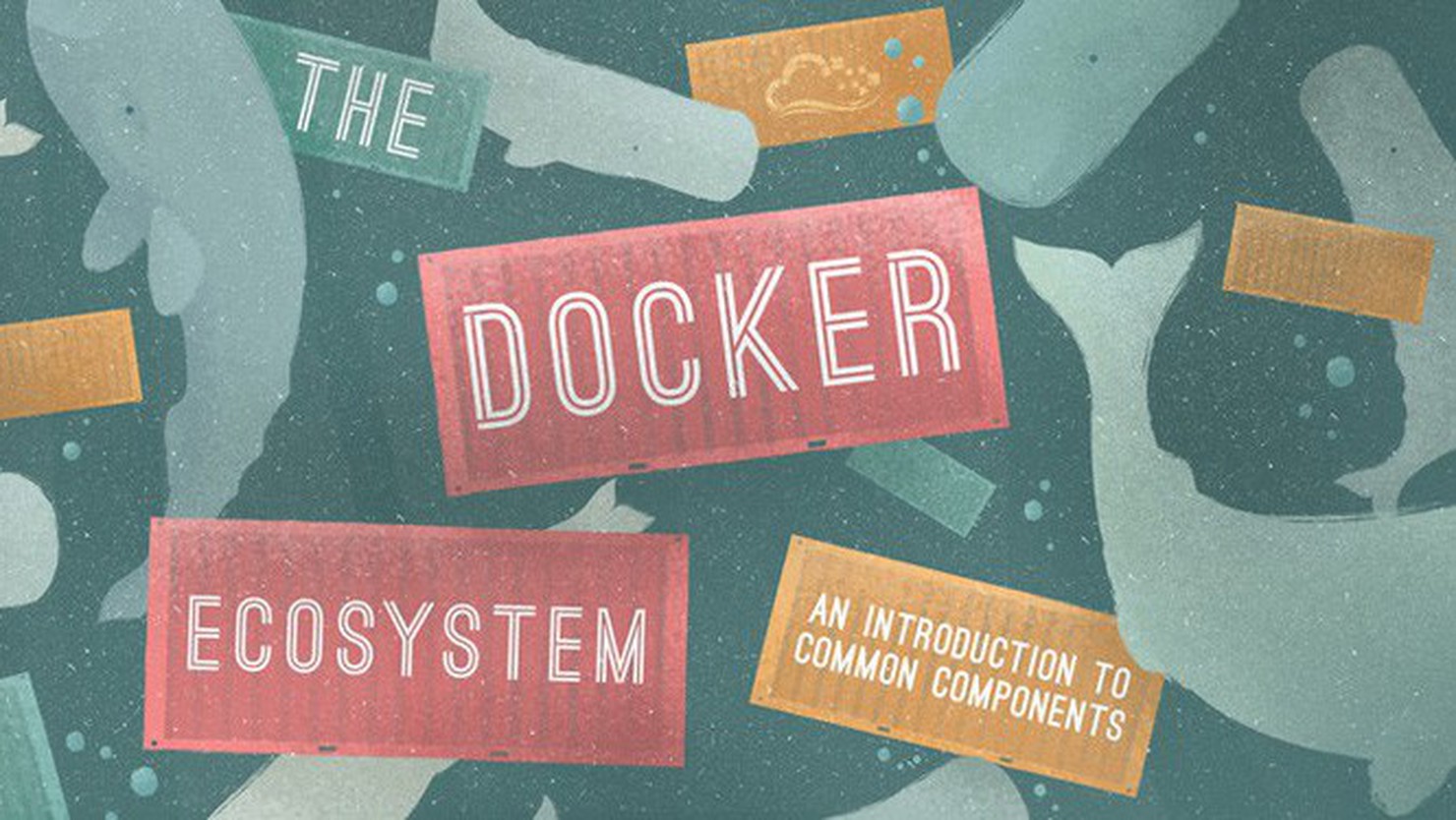 Hệ sinh thái Docker: Mạng kết nối và giao tiếp