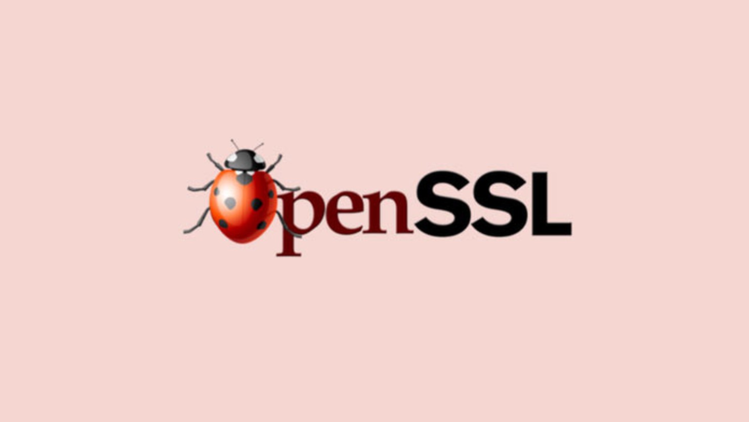 Tìm hiểu OpenSSL là gì? Lý do nên sử dụng OpenSSL?