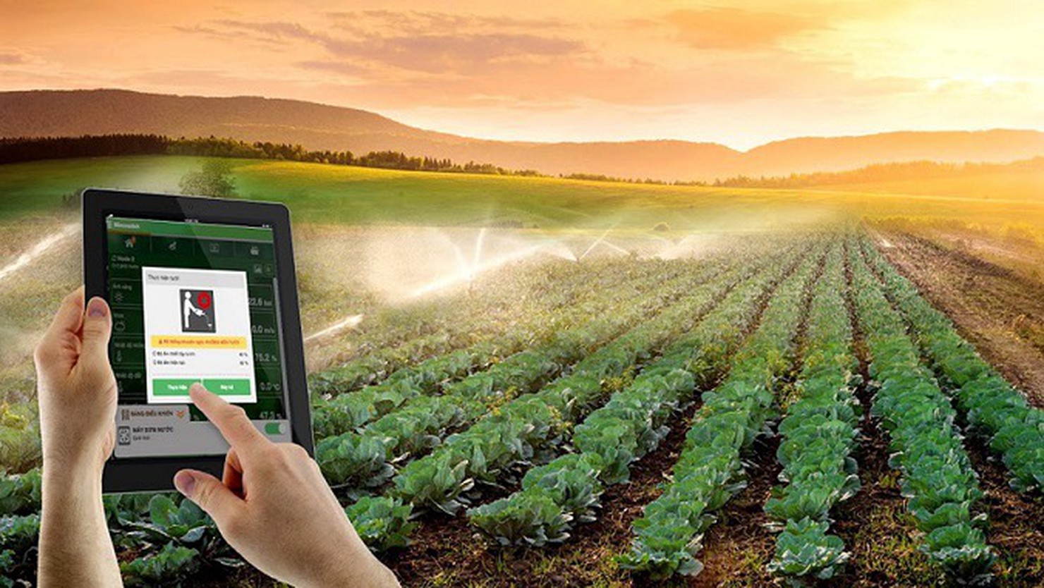 Triển khai và áp dụng Elearning nhằm nâng cao hiệu quả hoạt động canh tác nông nghiệp