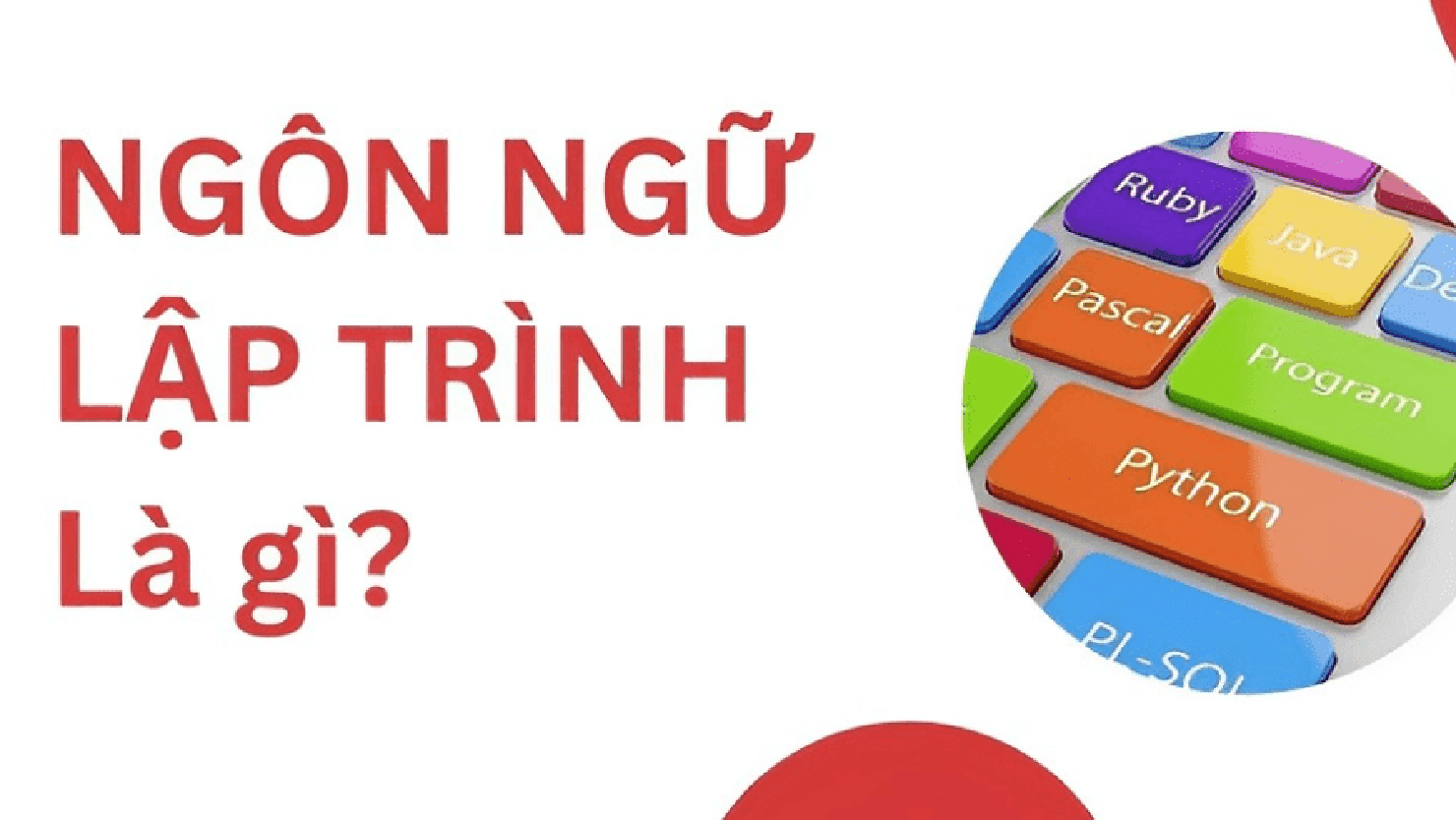 Ngôn ngữ lập trình là gì? Cấu trúc và các loại ngôn ngữ phổ biến hiện nay