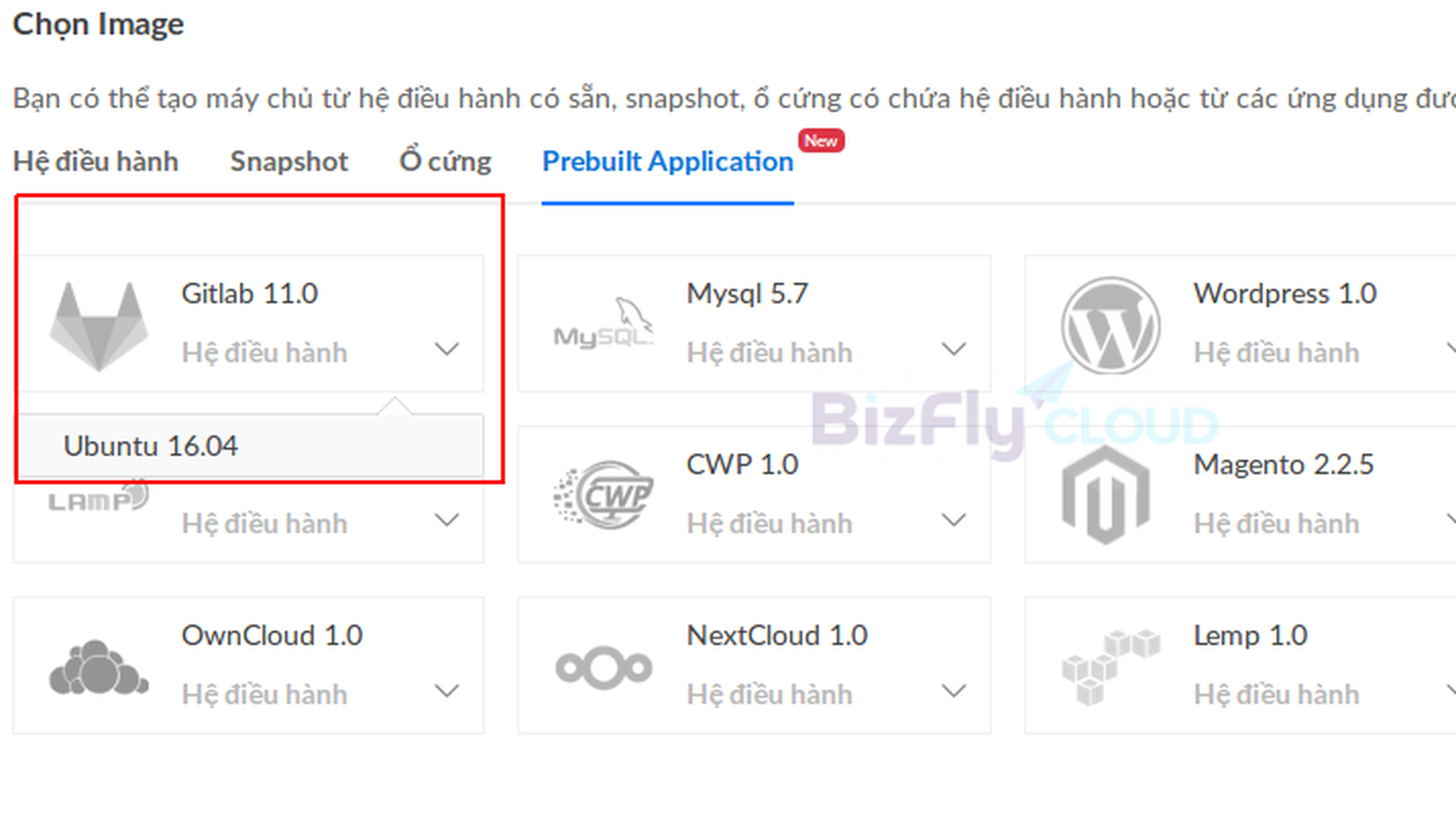 Hướng dẫn chi tiết khởi tạo Cloud Server trên Bizfly Cloud