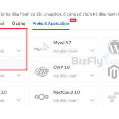 Hướng dẫn chi tiết khởi tạo Cloud Server trên Bizfly Cloud