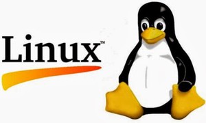 Sử dụng lệnh "ss" Trên Linux