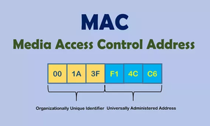MAC Address là gì? Địa chỉ Mac quan trọng như thế nào?
