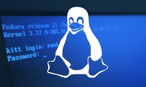 Hướng dẫn và ví dụ về lệnh “tee” trên Linux