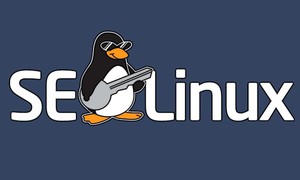Hướng dẫn tắt SELinux trên CentOS/RHEL (Disable SELinux)