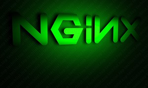 Cấu hình trang trạng thái Nginx – Nginx status page
