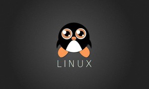 Gửi tin nhắn đến các user đang login với lệnh WALL trên Linux