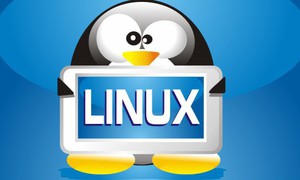 Phân biệt lệnh tìm đường dẫn tuyệt đối “whereis” và “which” trên Linux