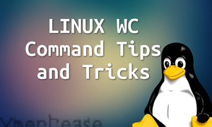 Hướng dẫn sử dụng lệnh WC kèm ví dụ trên Linux