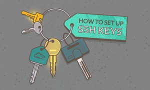 Hướng dẫn sử dụng ssh-copy-id 