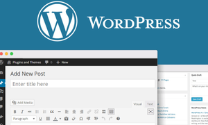 Website Wordpress bị hack! Xử lý sao đây?