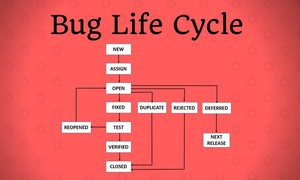 Vòng đời của Bug bạn phải hiểu