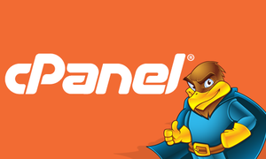 CPanel là gì? Hướng dẫn trình quản lý hosting cPanel cho người mới bắt đầu