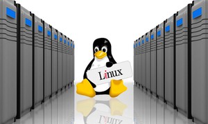 Top 5 hệ điều hành Linux có thể làm server tốt nhất năm 2018