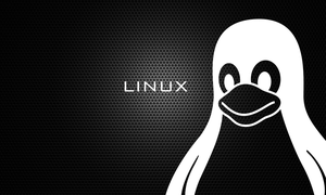 Giới thiệu cách cài đặt phần mềm trong Linux