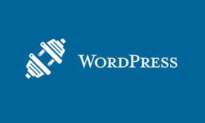 Các plugin cần thiết cho Wordpress hoạt động hiệu quả