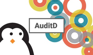 Tìm hiểu về công cụ hỗ trợ pam_tty_audit trong Linux Auditting