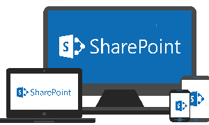 SharePoint là gì? Những cập nhật tính năng thú vị mới nhất về SharePoint