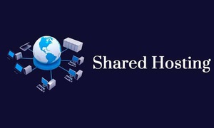 Shared hosting là gì? Những tính năng nổi bật và lưu ý khi sử dụng
