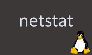 Netstat là gì? Hướng dẫn cách sử dụng Netstat cho người mới bắt đầu 