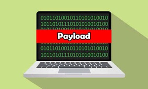 Payload là gì? Sự ảnh hưởng và cách phòng chống trong bảo mật