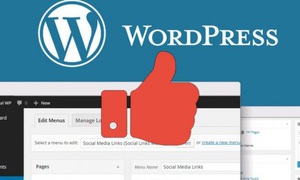 Sử dụng WordPress để tạo website là một cách tiết kiệm thời gian và tiền bạc