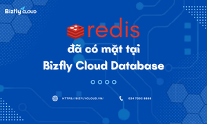 Redis đã có mặt trên Bizfly Cloud Database