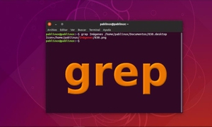 Hướng dẫn cách sử dụng lệnh Grep trong Linux