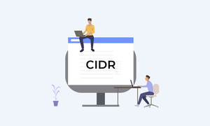 CIDR là gì? Khái niệm và cách hoạt động của CIDR?