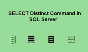 Tìm hiểu về lệnh SELECT DISTINCT trong SQL