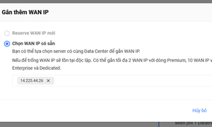 Hướng dẫn gắn thêm WAN IP trên Bizflycloud
