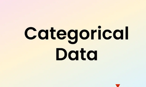 Categorical data là gì? Khái niệm, tính năng và ví dụ minh họa