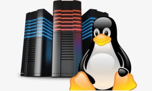 VPS Linux free là gì và những lưu ý khi sử dụng