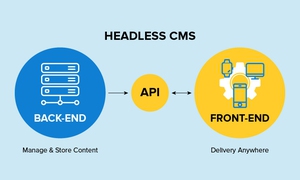 Headless CMS là gì?Các loại giải pháp Headless CMS 