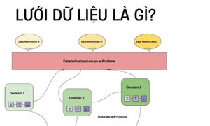 Lưới dữ liệu là gì? Những lợi ích mà lưới dữ liệu mang lại