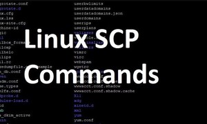 SCP Command là gì? Hướng dẫn sử dụng SCP Command trong Linux