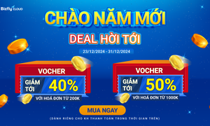 CHÀO NĂM MỚI - DEAL HỜI TỚI