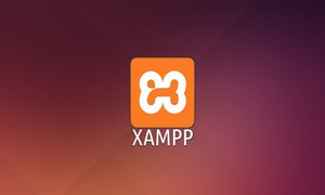 Cách tạo Database trong Xampp theo từng bước chi tiết