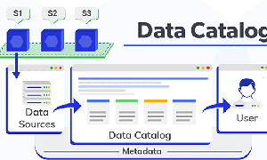 Danh mục dữ liệu là gì? Trường hợp sử dụng danh mục dữ liệu