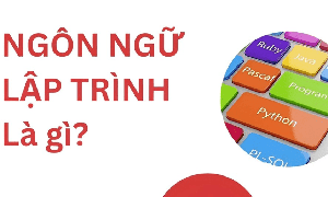 Ngôn ngữ lập trình là gì? Cấu trúc và các loại ngôn ngữ phổ biến hiện nay